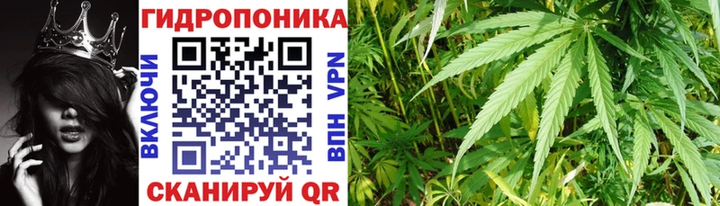 Купить закладки  Кропоткин  Конопля план 